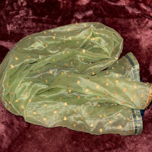 Elegant Green and Gold sari Women's Scarf - Picture 1 of 4